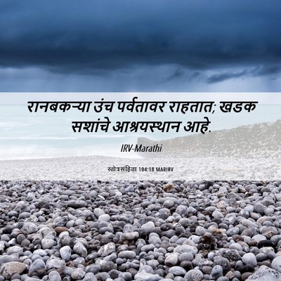 Picture 06 - स्तोत्रसंहिता 104:18 MARIRV - रानबकऱ्या उंच - Bible Verse Picture