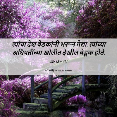 Picture 06 - स्तोत्रसंहिता 105:30 MARIRV - त्यांचा देश - Bible Verse Picture