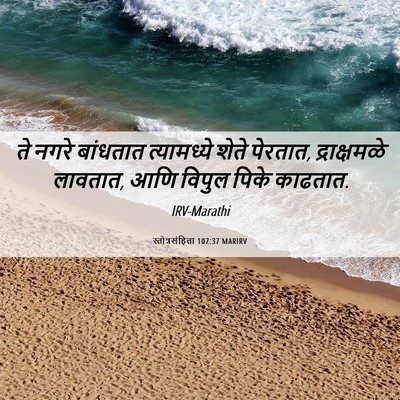 Picture 06 - स्तोत्रसंहिता 107:37 MARIRV - ते नगरे बांधतात - Bible Verse Picture