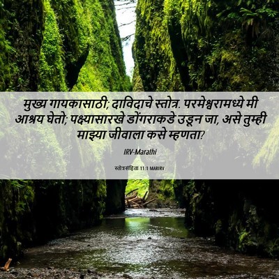 Picture 06 - स्तोत्रसंहिता 11:1 MARIRV - मुख्य गायकासाठी; - Bible Verse Picture