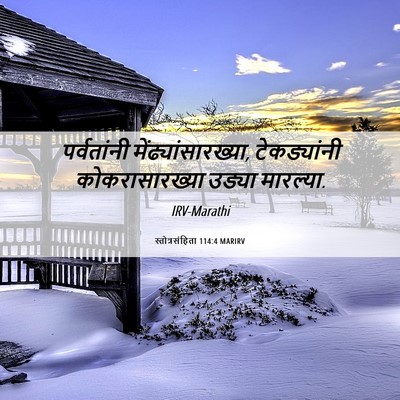 Picture 06 - स्तोत्रसंहिता 114:4 MARIRV - पर्वतांनी - Bible Verse Picture