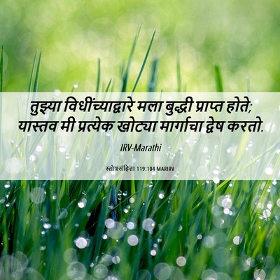 Picture 06 - स्तोत्रसंहिता 119:104 MARIRV - तुझ्या - Bible Verse Picture