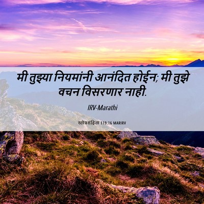 Picture 06 - स्तोत्रसंहिता 119:16 MARIRV - मी तुझ्या - Bible Verse Picture