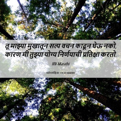 Picture 06 - स्तोत्रसंहिता 119:43 MARIRV - तू माझ्या मुखातून - Bible Verse Picture