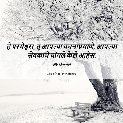 Picture 06 - स्तोत्रसंहिता 119:65 MARIRV - हे परमेश्वरा, तू - Bible Verse Picture