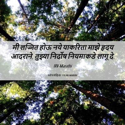 Picture 06 - स्तोत्रसंहिता 119:80 MARIRV - मी लज्जित होऊ नये - Bible Verse Picture
