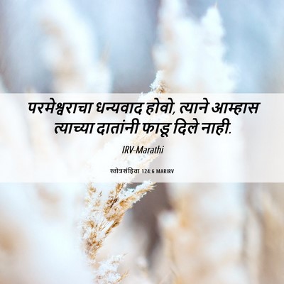 Picture 06 - स्तोत्रसंहिता 124:6 MARIRV - परमेश्वराचा - Bible Verse Picture