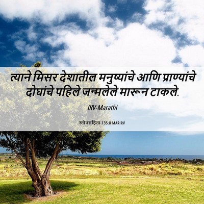 Picture 06 - स्तोत्रसंहिता 135:8 MARIRV - त्याने मिसर - Bible Verse Picture