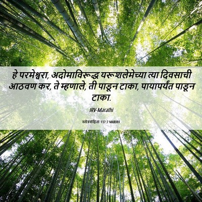 Picture 06 - स्तोत्रसंहिता 137:7 MARIRV - हे परमेश्वरा, - Bible Verse Picture