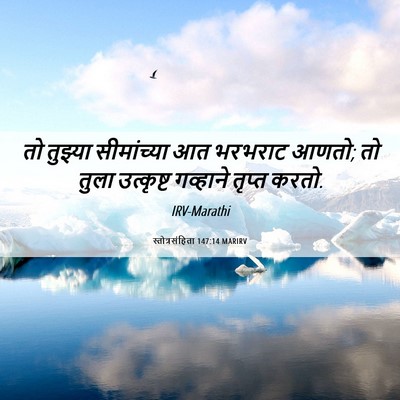 Picture 06 - स्तोत्रसंहिता 147:14 MARIRV - तो तुझ्या - Bible Verse Picture