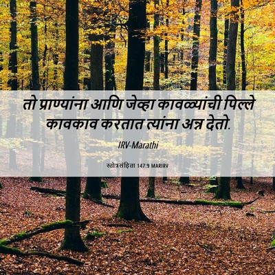 Picture 06 - स्तोत्रसंहिता 147:9 MARIRV - तो प्राण्यांना - Bible Verse Picture