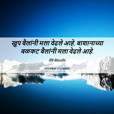 Picture 06 - स्तोत्रसंहिता 22:12 MARIRV - खुप बैलांनी मला - Bible Verse Picture