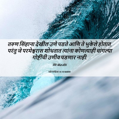 Picture 06 - स्तोत्रसंहिता 34:10 MARIRV - तरुण सिंहाना - Bible Verse Picture