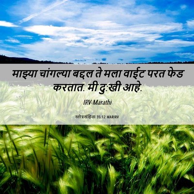 Picture 06 - स्तोत्रसंहिता 35:12 MARIRV - माझ्या चांगल्या - Bible Verse Picture