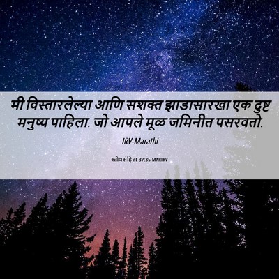 Picture 06 - स्तोत्रसंहिता 37:35 MARIRV - मी विस्तारलेल्या - Bible Verse Picture