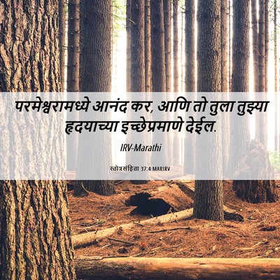 Picture 06 - स्तोत्रसंहिता 37:4 MARIRV - परमेश्वरामध्ये - Bible Verse Picture