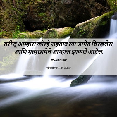 Picture 06 - स्तोत्रसंहिता 44:19 MARIRV - तरी तू आम्हास - Bible Verse Picture