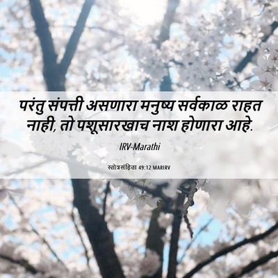 Picture 06 - स्तोत्रसंहिता 49:12 MARIRV - परंतु संपत्ती - Bible Verse Picture