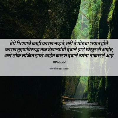 Picture 06 - स्तोत्रसंहिता 53:5 MARIRV - तेथे भिण्याचे - Bible Verse Picture