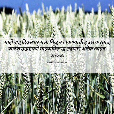 Picture 06 - स्तोत्रसंहिता 56:2 MARIRV - माझे शत्रू दिवसभर - Bible Verse Picture