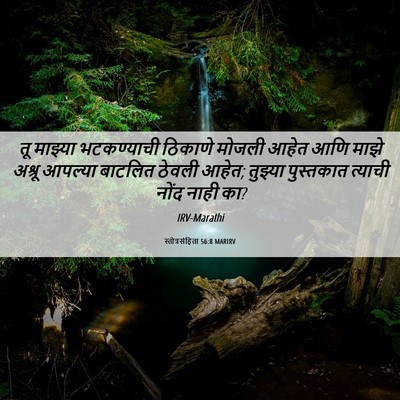 Picture 06 - स्तोत्रसंहिता 56:8 MARIRV - तू माझ्या - Bible Verse Picture