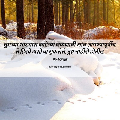 Picture 06 - स्तोत्रसंहिता 58:9 MARIRV - तुमच्या भांड्यास - Bible Verse Picture