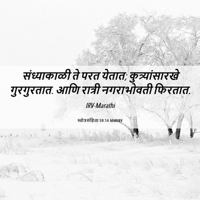 Picture 06 - स्तोत्रसंहिता 59:14 MARIRV - संध्याकाळी ते परत - Bible Verse Picture