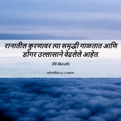 Picture 06 - स्तोत्रसंहिता 65:12 MARIRV - रानातील कुरणावर - Bible Verse Picture