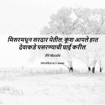 Picture 06 - स्तोत्रसंहिता 68:31 MARIRV - मिसरमधून सरदार - Bible Verse Picture