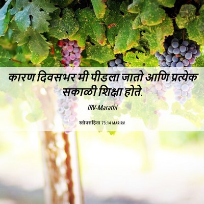 Picture 06 - स्तोत्रसंहिता 73:14 MARIRV - कारण दिवसभर मी - Bible Verse Picture