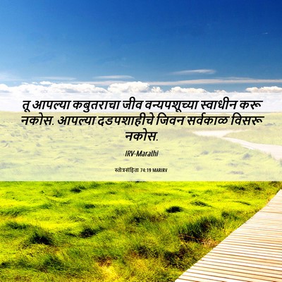 Picture 06 - स्तोत्रसंहिता 74:19 MARIRV - तू आपल्या - Bible Verse Picture