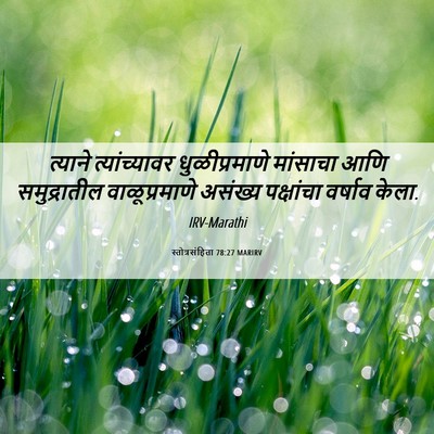 Picture 06 - स्तोत्रसंहिता 78:27 MARIRV - त्याने - Bible Verse Picture
