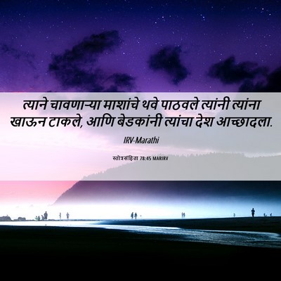Picture 06 - स्तोत्रसंहिता 78:45 MARIRV - त्याने चावणाऱ्या - Bible Verse Picture