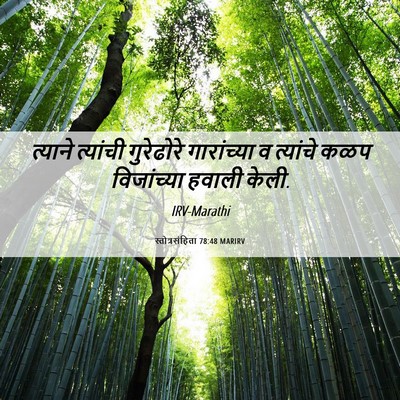 Picture 06 - स्तोत्रसंहिता 78:48 MARIRV - त्याने त्यांची - Bible Verse Picture