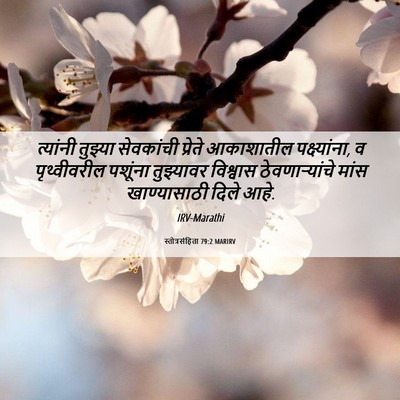 Picture 06 - स्तोत्रसंहिता 79:2 MARIRV - त्यांनी तुझ्या - Bible Verse Picture