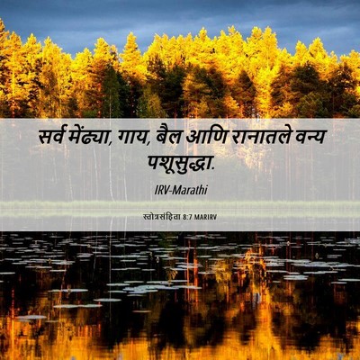 Picture 06 - स्तोत्रसंहिता 8:7 MARIRV - सर्व मेंढ्या, गाय, - Bible Verse Picture