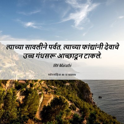 Picture 06 - स्तोत्रसंहिता 80:10 MARIRV - त्याच्या सावलीने - Bible Verse Picture
