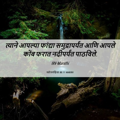 Picture 06 - स्तोत्रसंहिता 80:11 MARIRV - त्याने आपल्या - Bible Verse Picture