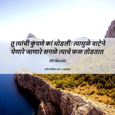 Picture 06 - स्तोत्रसंहिता 80:12 MARIRV - तू त्यांची कुंपणे - Bible Verse Picture