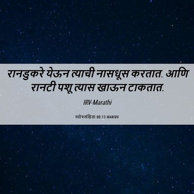 Picture 06 - स्तोत्रसंहिता 80:13 MARIRV - रानडुकरे येऊन - Bible Verse Picture