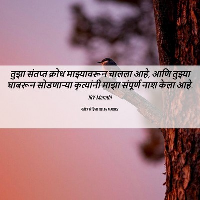 Picture 06 - स्तोत्रसंहिता 88:16 MARIRV - तुझा संतप्त क्रोध - Bible Verse Picture