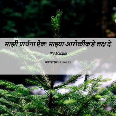 Picture 06 - स्तोत्रसंहिता 88:2 MARIRV - माझी प्रार्थना ऐक; - Bible Verse Picture