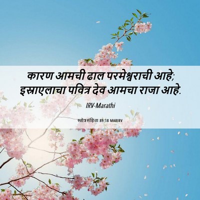 Picture 06 - स्तोत्रसंहिता 89:18 MARIRV - कारण आमची ढाल - Bible Verse Picture