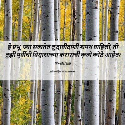Picture 06 - स्तोत्रसंहिता 89:49 MARIRV - हे प्रभू, ज्या - Bible Verse Picture