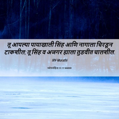 Picture 06 - स्तोत्रसंहिता 91:13 MARIRV - तू आपल्या - Bible Verse Picture