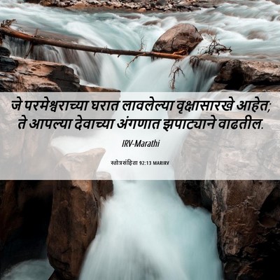 Picture 06 - स्तोत्रसंहिता 92:13 MARIRV - जे परमेश्वराच्या - Bible Verse Picture