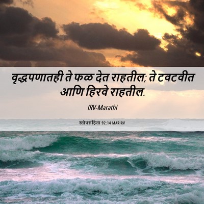 Picture 06 - स्तोत्रसंहिता 92:14 MARIRV - वृद्धपणातही ते फळ - Bible Verse Picture