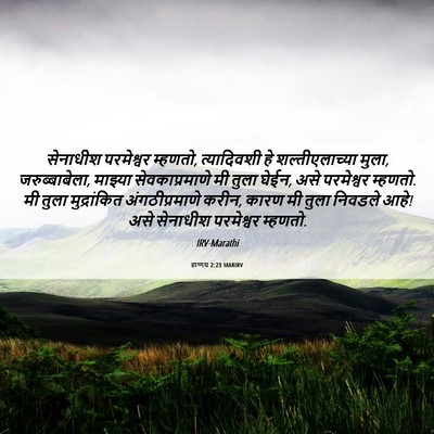 Picture 06 - हाग्गय 2:23 MARIRV - सेनाधीश परमेश्वर - Bible Verse Picture