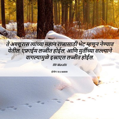 Picture 06 - होशेय 10:6 MARIRV - ते अश्शूरास - Bible Verse Picture