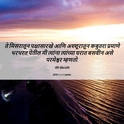 Picture 06 - होशेय 11:11 MARIRV - ते मिसरातून - Bible Verse Picture